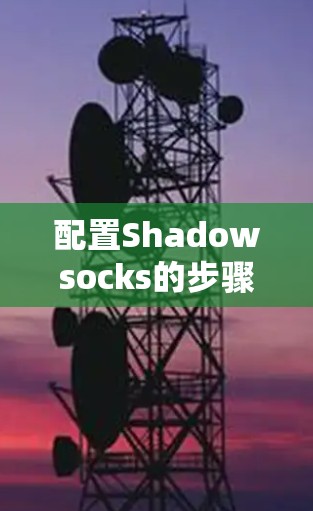 配置Shadowsocks的步骤如下
