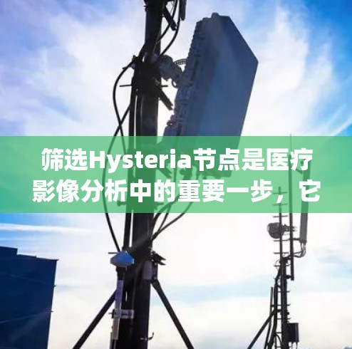 筛选Hysteria节点是医疗影像分析中的重要一步，它可以帮助我们更高效地找到所需的节点。以下是一个结构化的总结，帮助你更好地理解和应用Hysteria节点筛选技术