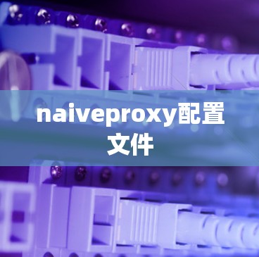 naiveproxy配置文件