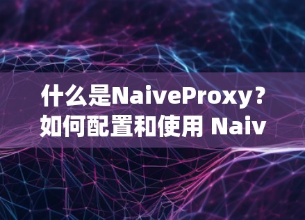 什么是NaiveProxy？如何配置和使用 NaiveProxy 规则设置？