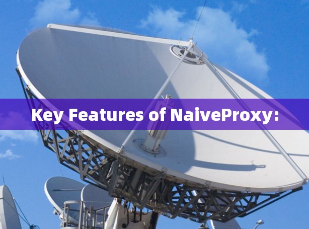 Key Features of NaiveProxy: