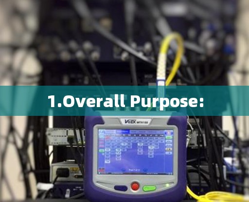 1.Overall Purpose: