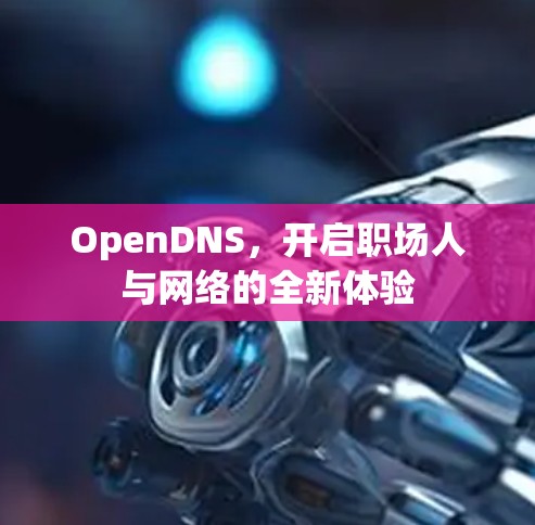 OpenDNS，开启职场人与网络的全新体验
