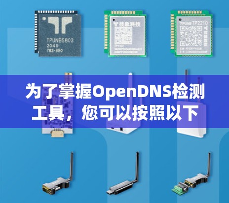 为了掌握OpenDNS检测工具，您可以按照以下步骤进行学习