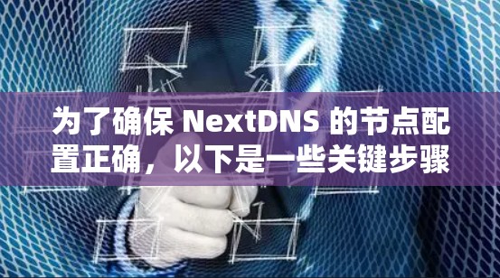 为了确保 NextDNS 的节点配置正确，以下是一些关键步骤和考虑因素