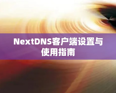 NextDNS客户端设置与使用指南