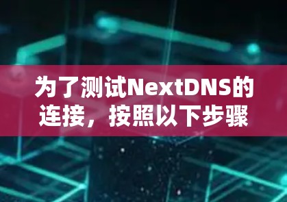 为了测试NextDNS的连接，按照以下步骤进行