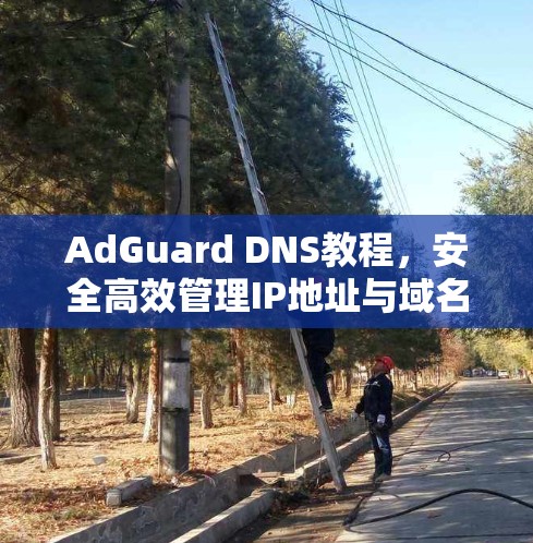 AdGuard DNS教程，安全高效管理IP地址与域名