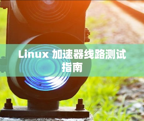 Linux 加速器线路测试指南