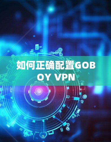 如何正确配置GOBOY VPN