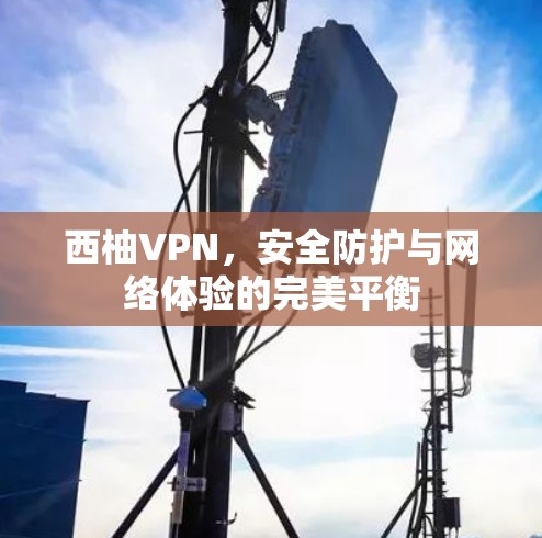 西柚VPN，安全防护与网络体验的完美平衡