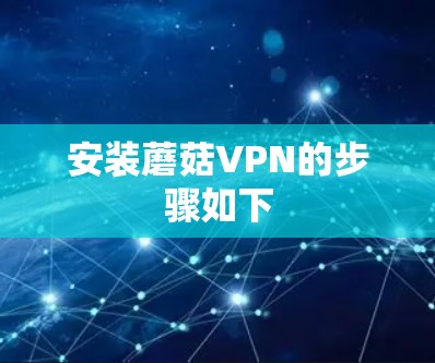 安装蘑菇VPN的步骤如下