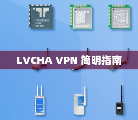 LVCHA VPN 简明指南