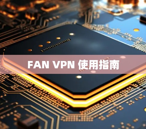FAN VPN 使用指南