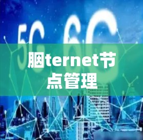 胭ternet节点管理