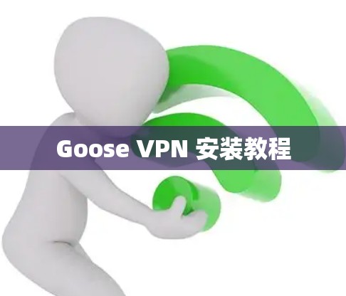 Goose VPN 安装教程