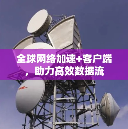 全球网络加速+客户端，助力高效数据流