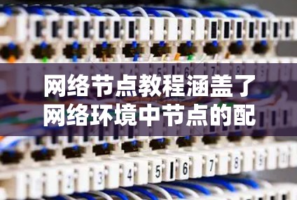 网络节点教程涵盖了网络环境中节点的配置、管理及其安全配置。以下是分步骤的指南