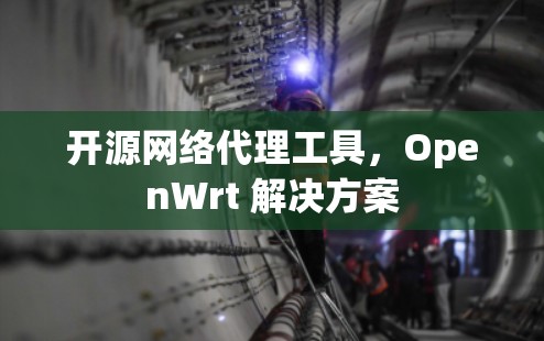 开源网络代理工具，OpenWrt 解决方案