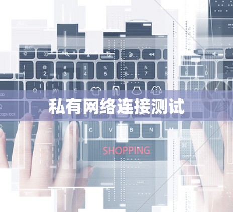 私有网络连接测试
