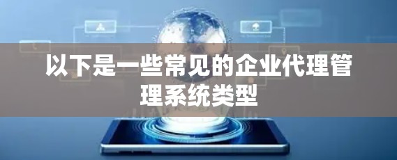 以下是一些常见的企业代理管理系统类型