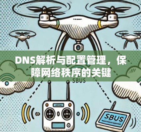 DNS解析与配置管理，保障网络秩序的关键