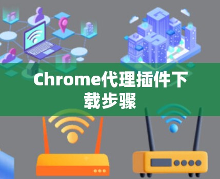 Chrome代理插件下载步骤