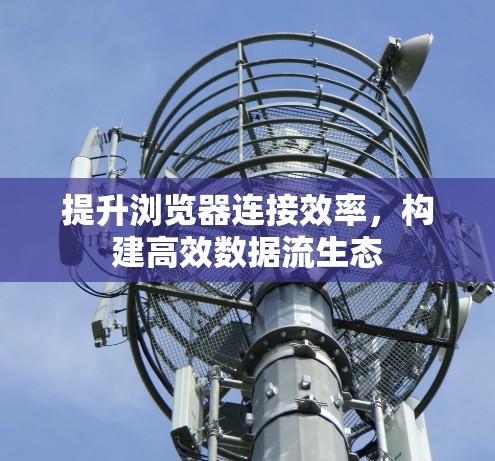 提升浏览器连接效率，构建高效数据流生态