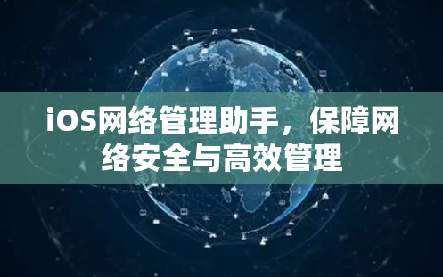 iOS网络管理助手，保障网络安全与高效管理