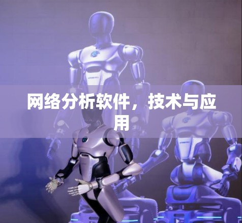 网络分析软件，技术与应用