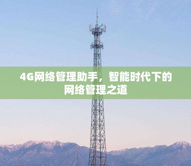 4G网络管理助手，智能时代下的网络管理之道