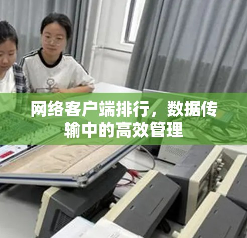 网络客户端排行，数据传输中的高效管理
